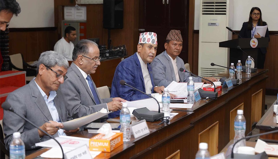 हदम्याद र अख्तियारले मुद्दा दायर गर्दैमा निलम्बन हुने व्यवस्थामा छलफल गरियोस् : प्रचण्ड