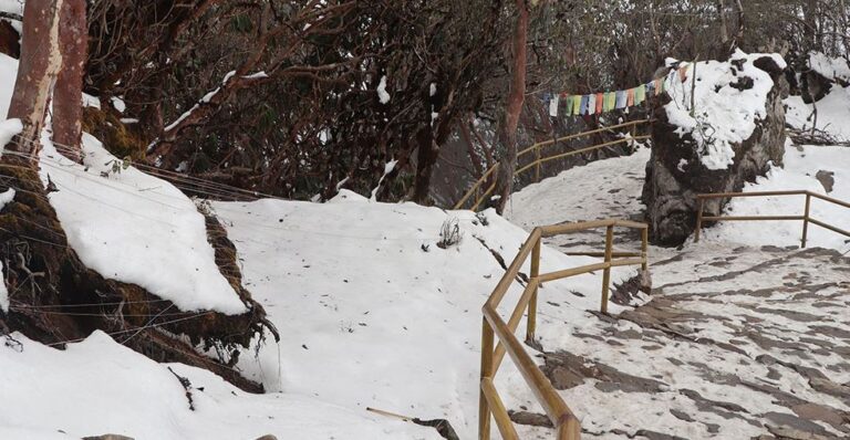 पाथीभरा सहित ताप्लेजुङको उच्च क्षेत्रमा हिमपात