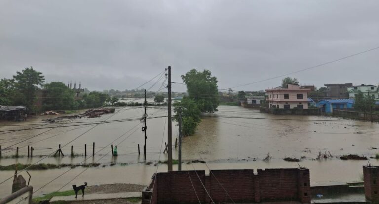 कैलाली र कञ्चनपुरमा आरीघोप्टे वर्षा, धनगढी जलमग्न