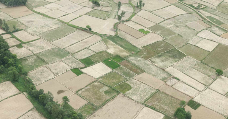 सुक्खाग्रस्त मधेशका लागि तत्काल बजेट व्यवस्थापन गर्न सरकारलाई संसदीय समितिको निर्देशन