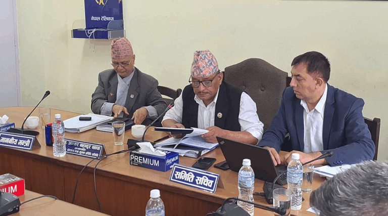 शिक्षा विधेयकको प्रतिवेदन समितिमा पेस गरिँदै