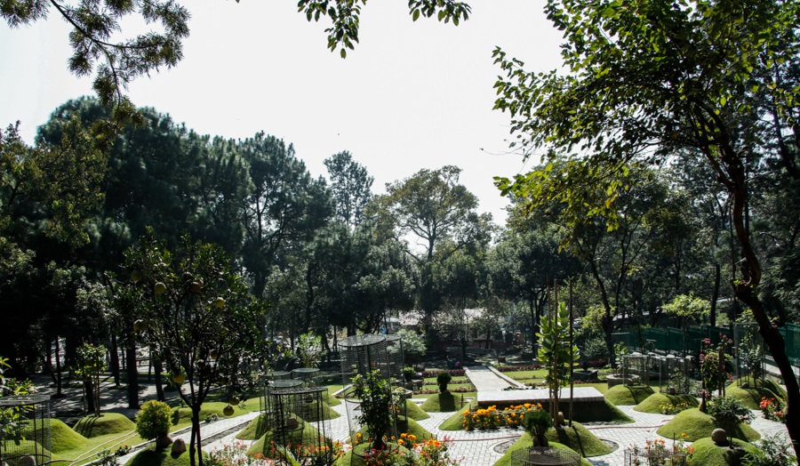 पशुपति वनकालीमा शिवतत्व र भक्ति चर्चा