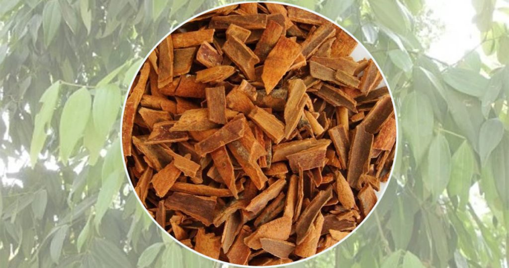 दालचिनीका औषधीय फाइदा-मधुमेहदेखि पाचन सुधारसम्म प्रभावकारी