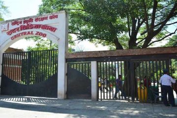 बर्ड फ्लु संक्रमण पुष्टि भएपछि सदर चिडियाखाना अनिश्चितकालका लागि बन्द