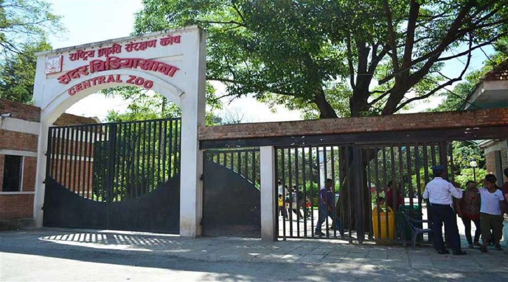 जावलाखेलस्थित सदर चिडियाखानामा बर्डफ्लु पुष्टि, अनिश्चितकालका लागि बन्द