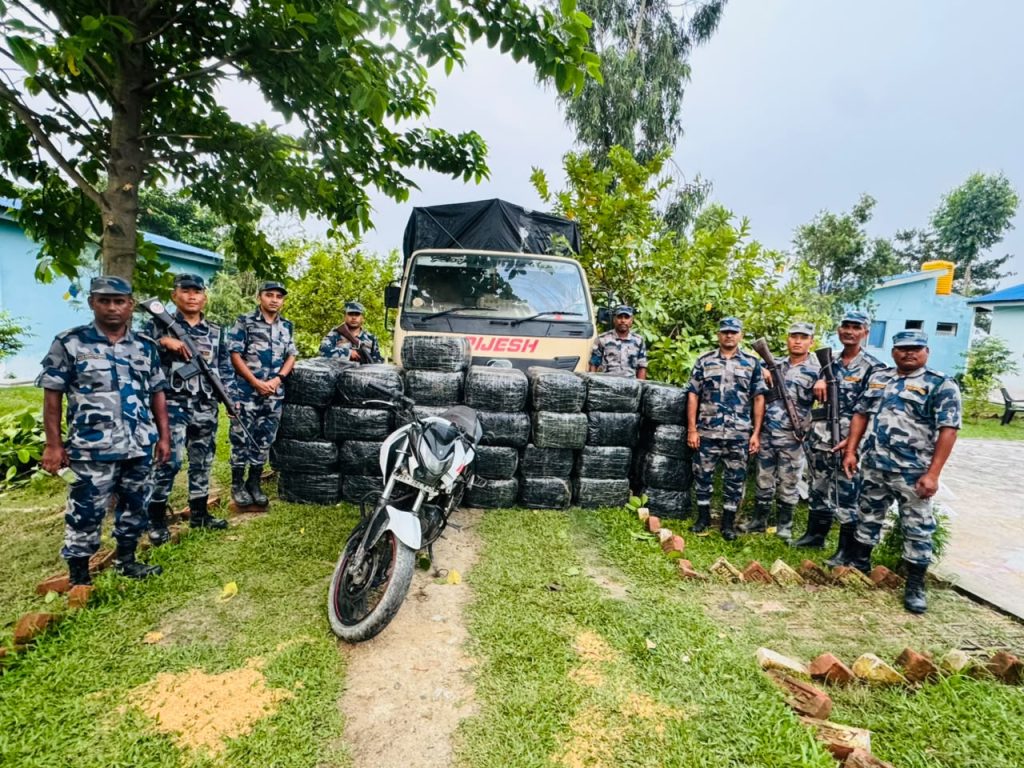 मोरङ सीमाक्षेत्रबाट ९२२ केजी गाँजा बरामद, पिकअप र मोटरसाइकल नियन्त्रणमा