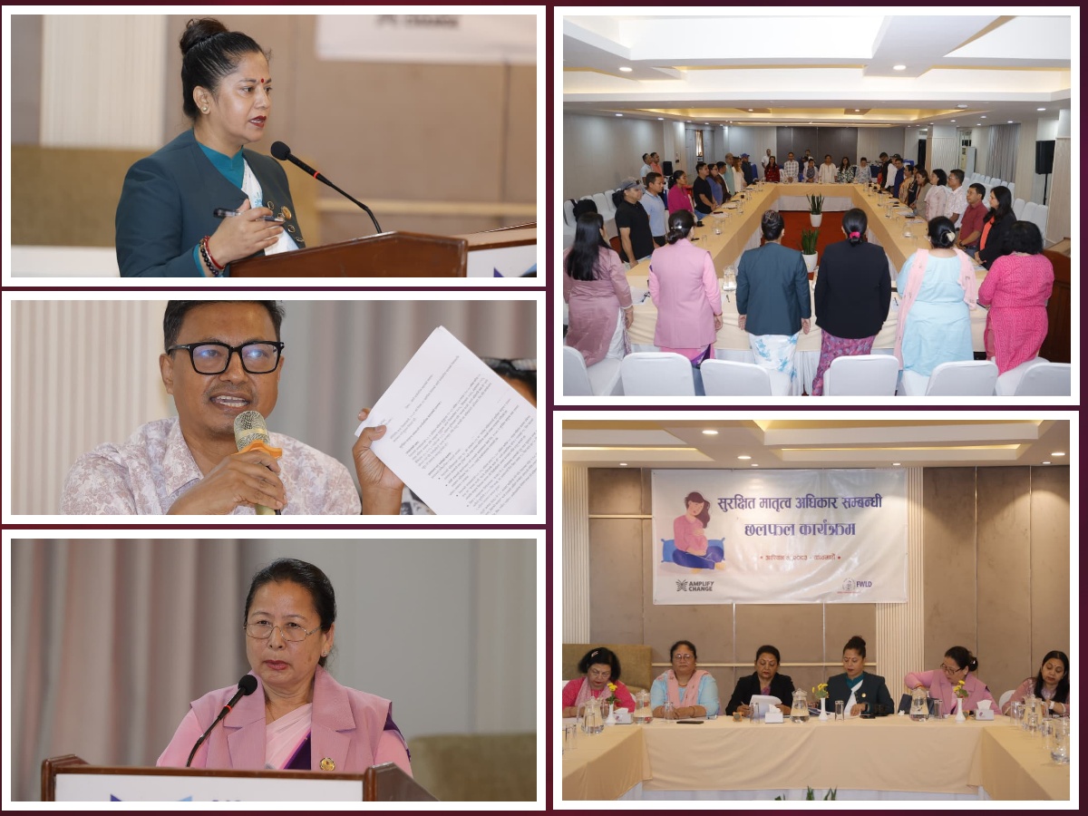 प्रसुती विदा सम्बन्धी सार्वजनिक महत्वको प्रस्तावलाई स्वस्थ नागरिक उत्पादन र मानवअधिकारसँग जोडेर हेर्न आग्रह